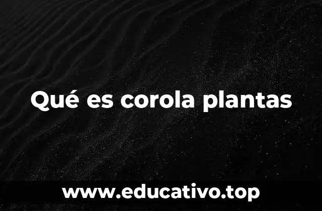 Qué es corola plantas