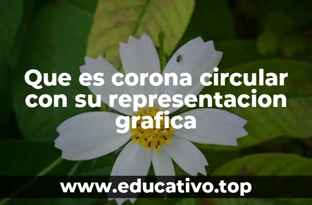 Que es corona circular con su representacion grafica
