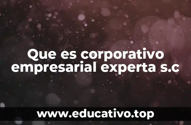 Que es corporativo empresarial experta s.c