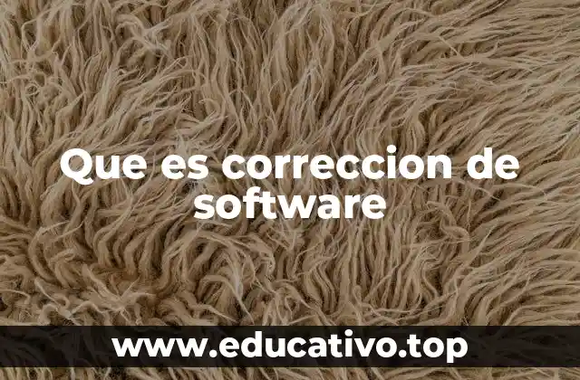 Que es correccion de software