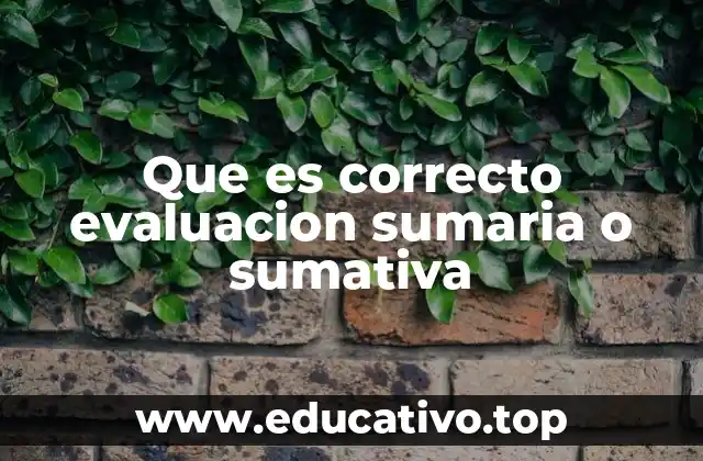 Que es correcto evaluacion sumaria o sumativa