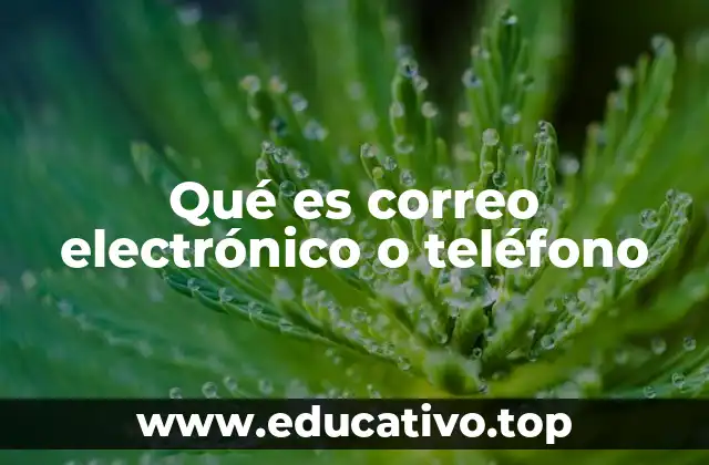 Qué es correo electrónico o teléfono