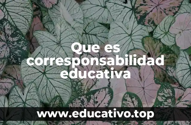 Que es corresponsabilidad educativa