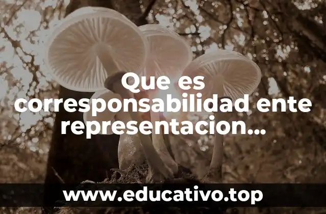 La importancia de la coherencia entre datos y su representación visual