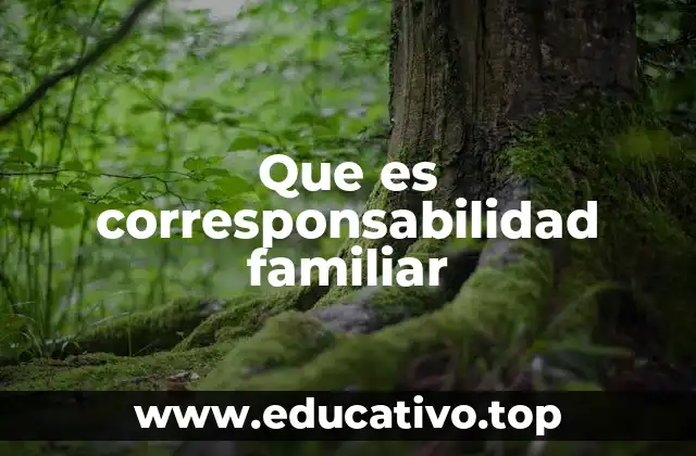 Que es corresponsabilidad familiar
