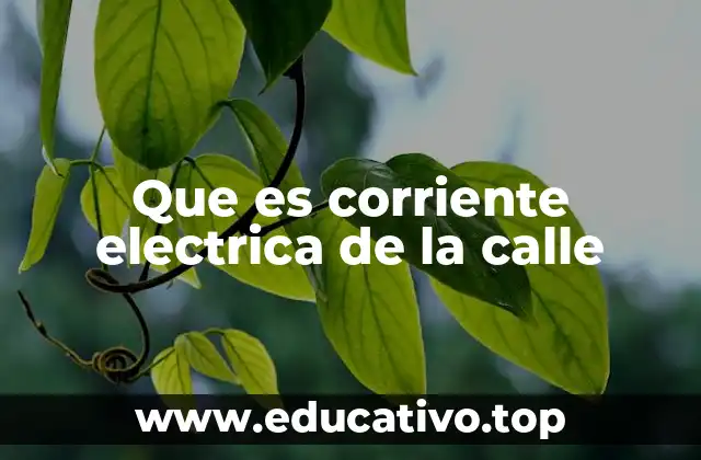 Cómo llega la energía eléctrica a los hogares urbanos