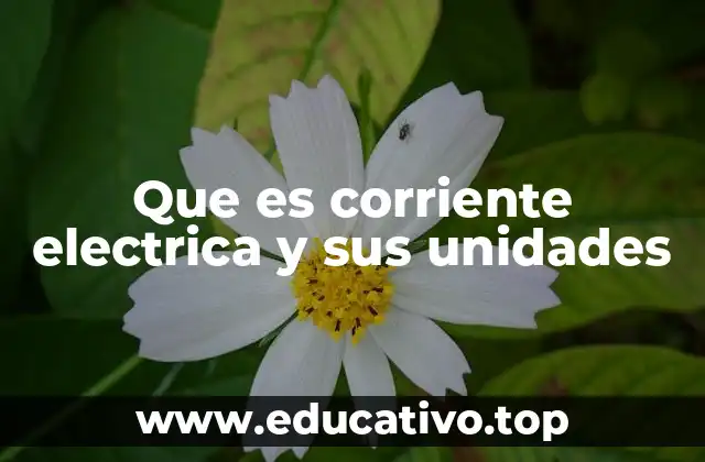 Que es corriente electrica y sus unidades