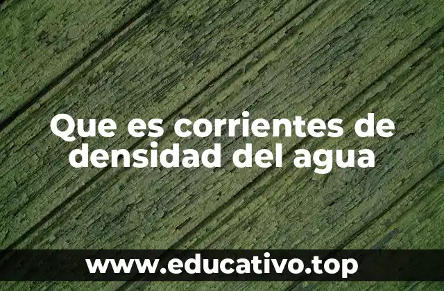 El papel de la densidad en los movimientos oceánicos