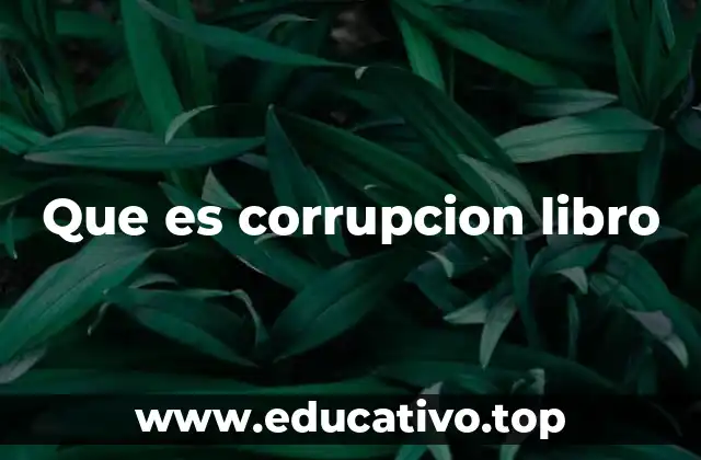 Que es corrupcion libro