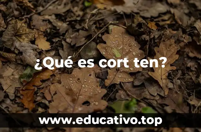 ¿Qué es cort ten?