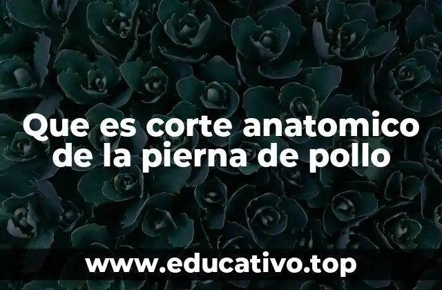 Que es corte anatomico de la pierna de pollo