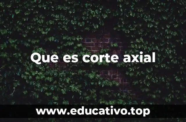 Que es corte axial