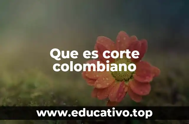 Que es corte colombiano
