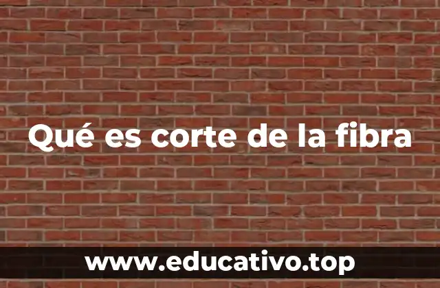 Qué es corte de la fibra