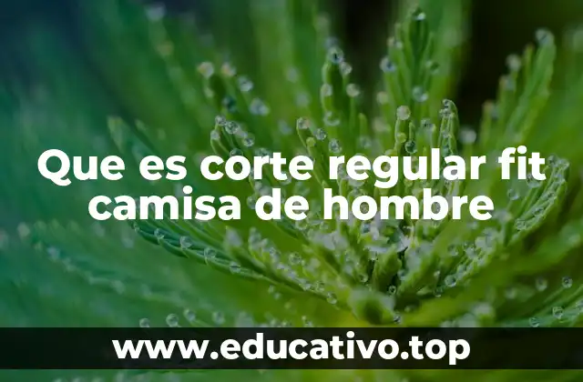 Que es corte regular fit camisa de hombre