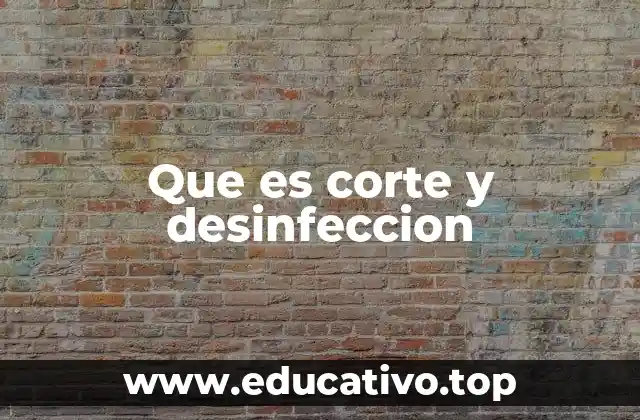 Que es corte y desinfeccion