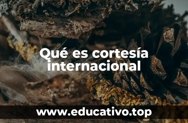 Qué es cortesía internacional