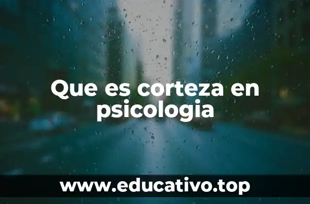 Que es corteza en psicologia
