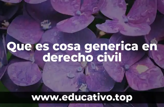 Que es cosa generica en derecho civil