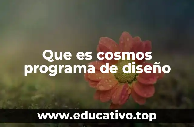Que es cosmos programa de diseño