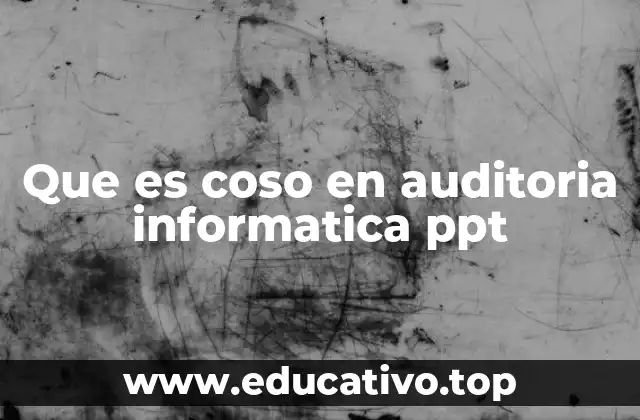 Que es coso en auditoria informatica ppt
