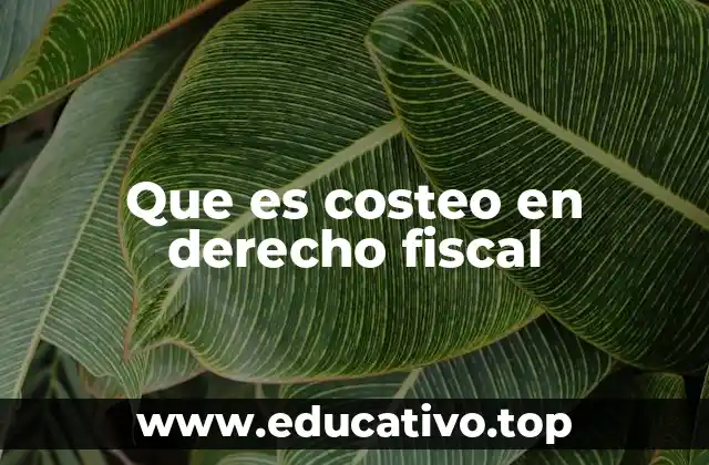 Que es costeo en derecho fiscal