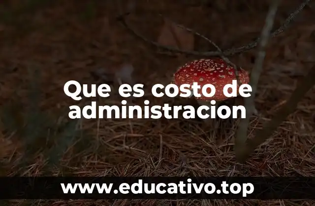 La importancia de los gastos administrativos en una empresa
