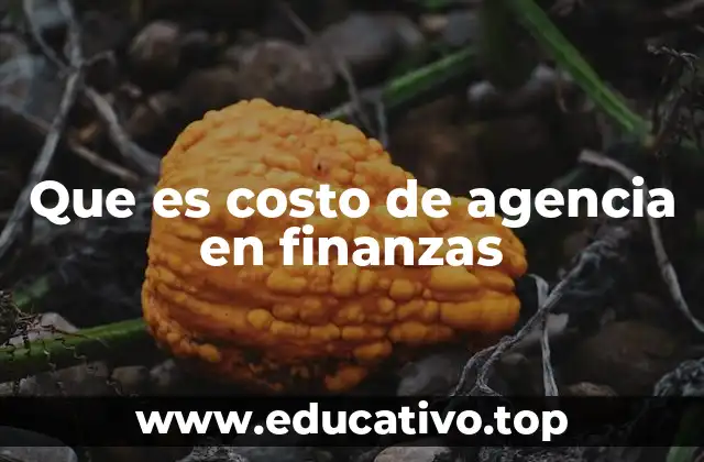 Que es costo de agencia en finanzas