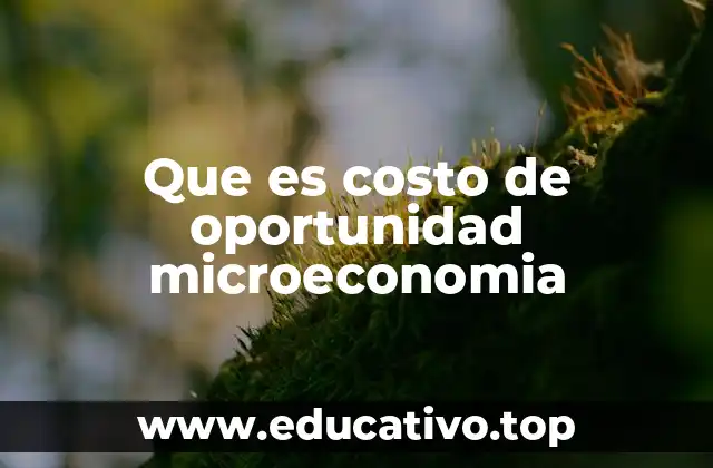 Que es costo de oportunidad microeconomia