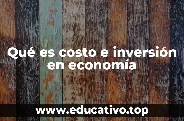 Qué es costo e inversión en economía