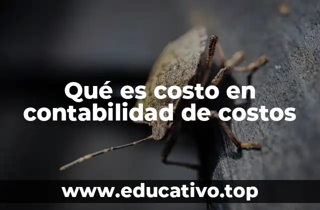 Qué es costo en contabilidad de costos