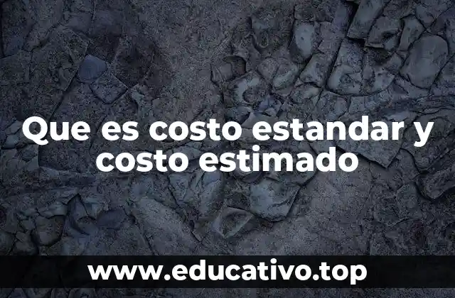 Que es costo estandar y costo estimado