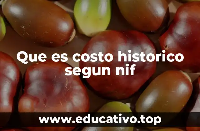Que es costo historico segun nif