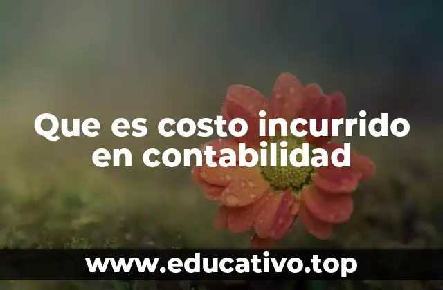 Diferencias entre costo incurrido y otros tipos de costos