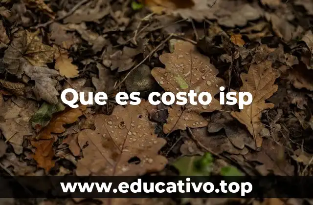 Que es costo isp