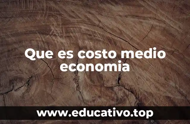 Que es costo medio economia