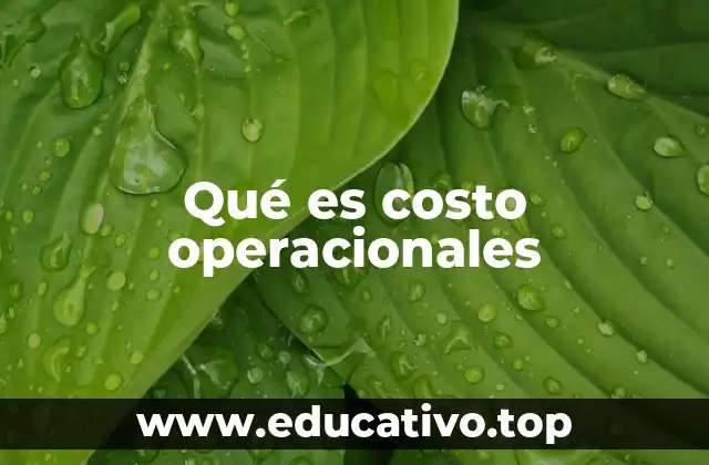 Qué es costo operacionales