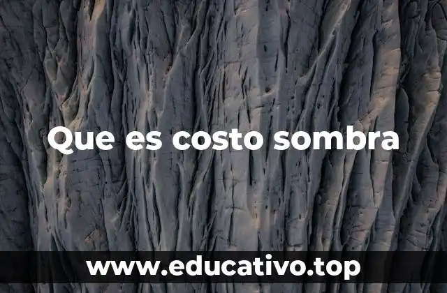 Que es costo sombra