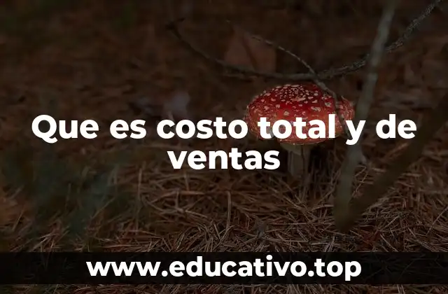 Que es costo total y de ventas