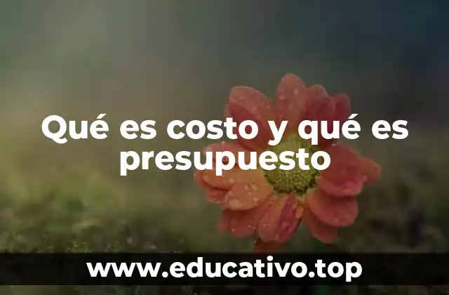 Qué es costo y qué es presupuesto