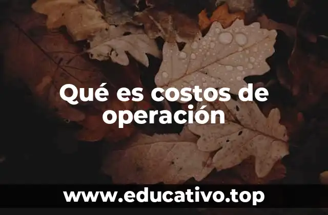 Qué es costos de operación