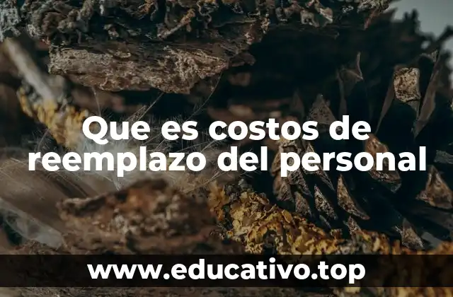 Que es costos de reemplazo del personal