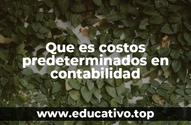 Que es costos predeterminados en contabilidad