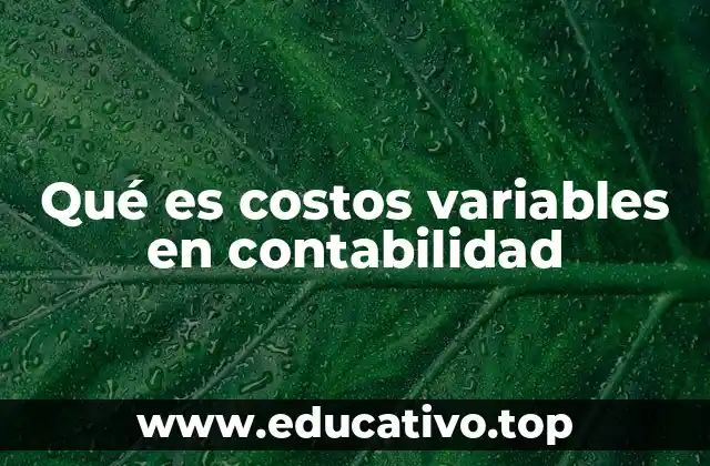 Qué es costos variables en contabilidad