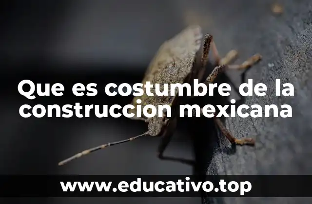Que es costumbre de la construccion mexicana