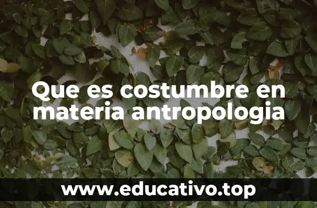 Que es costumbre en materia antropologia