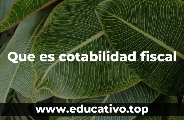 Que es cotabilidad fiscal