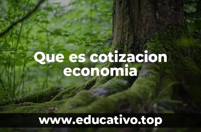 Que es cotizacion economia