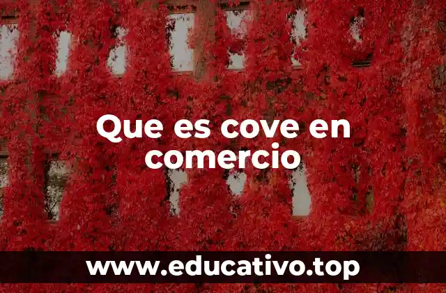 Que es cove en comercio