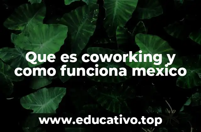 Que es coworking y como funciona mexico